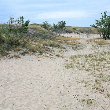 Curonian Spit image 16