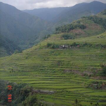 Rice Terraces of the Philippine Cordilleras