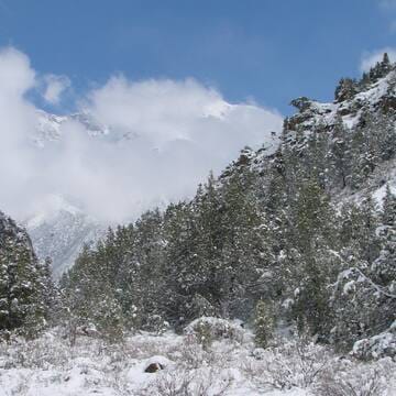 Western Tien-Shan image 8