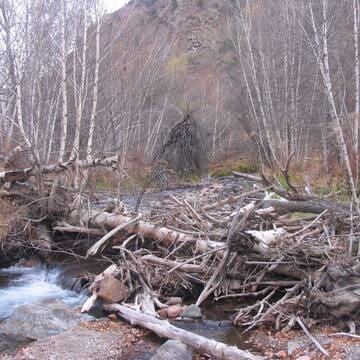 Western Tien-Shan image 22