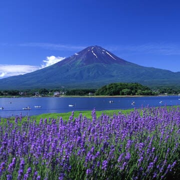 Fujisan, sacred place and source of artistic inspiration image 9