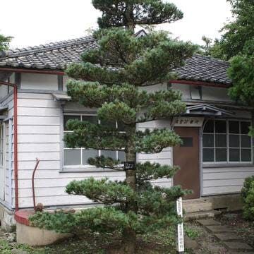 Tomioka Silk Mill and Related Sites image 6