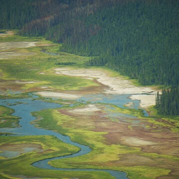 Wood Buffalo National Park image 2