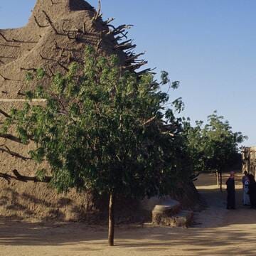 Tomb of Askia image 14