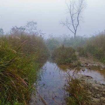 Chitwan National Park image 21