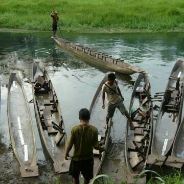 Chitwan National Park image 5