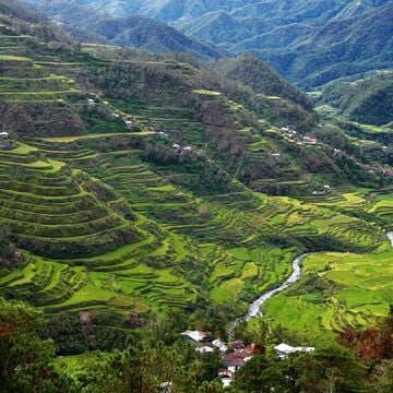 Rice Terraces of the Philippine Cordilleras image 3