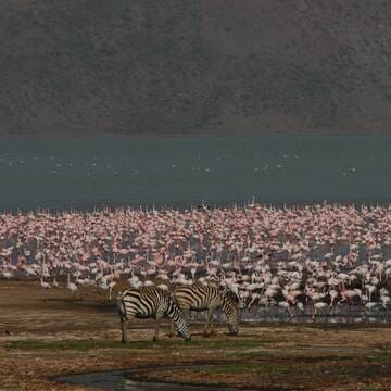 Kenya Lake System in the Great Rift Valley