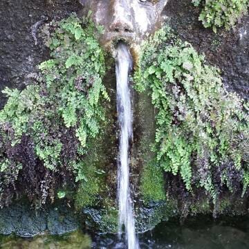 Villa d'Este, Tivoli image 12