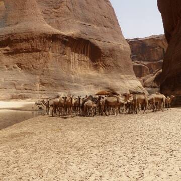 Ennedi Massif: Natural and Cultural Landscape image 26