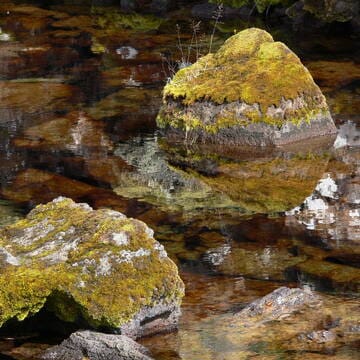 Þingvellir National Park image 12