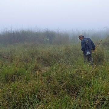 Chitwan National Park image 20