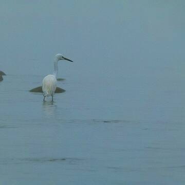 Chitwan National Park image 23