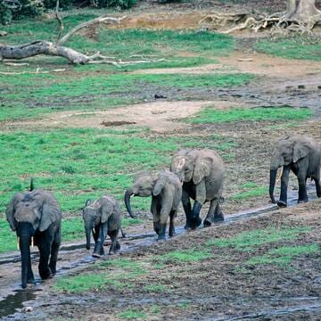 Sangha Trinational image 10