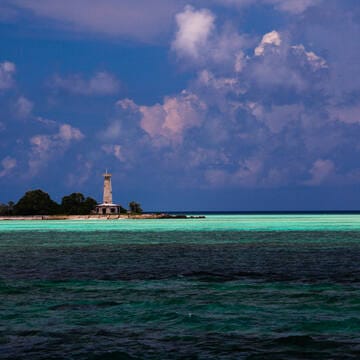 Tubbataha Reefs Natural Park image 18