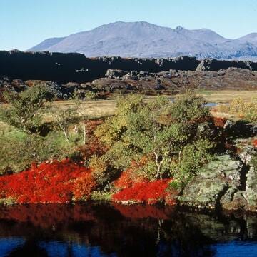 Þingvellir National Park image 3