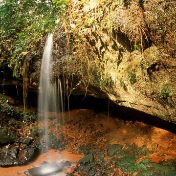 Sangha Trinational image 15