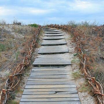 Curonian Spit image 17