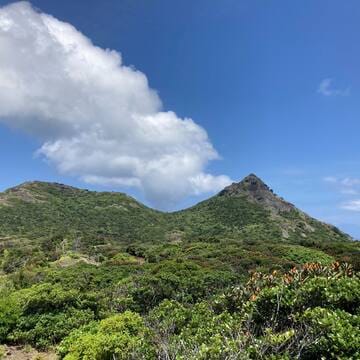 Ogasawara Islands image 5