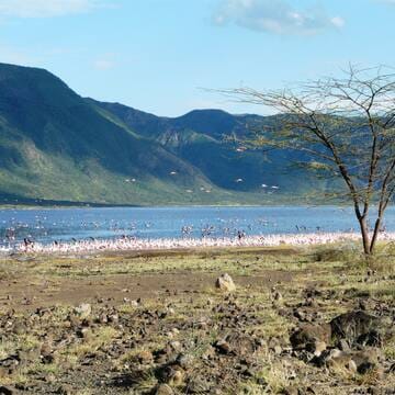 Kenya Lake System in the Great Rift Valley image 2