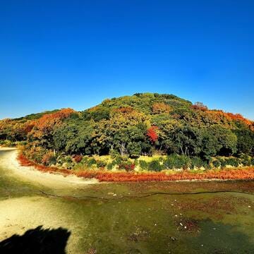 Mozu-Furuichi Kofun Group: Mounded Tombs of Ancient Japan image 6