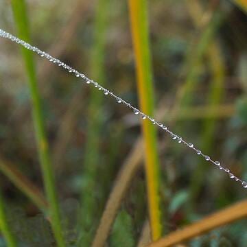 Chitwan National Park image 22