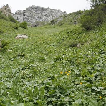 Western Tien-Shan image 19