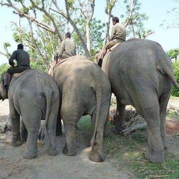Chitwan National Park image 16