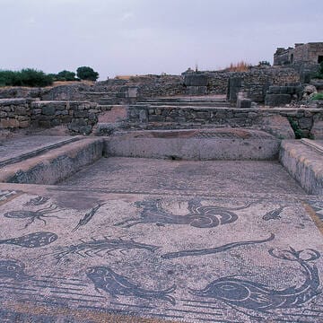 Archaeological Site of Volubilis image 22
