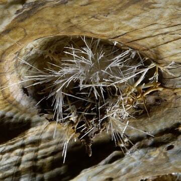 Caves of Aggtelek Karst and Slovak Karst image 18