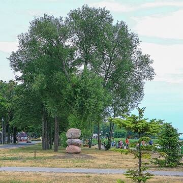 Curonian Spit image 24