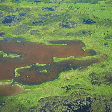 Wood Buffalo National Park image 6