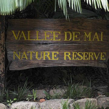 Vallée de Mai Nature Reserve image 17