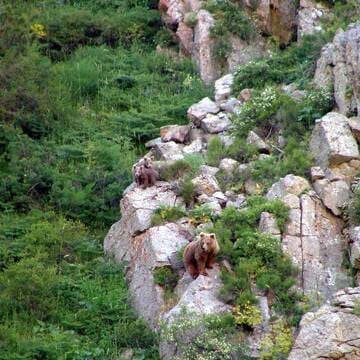 Western Tien-Shan image 15