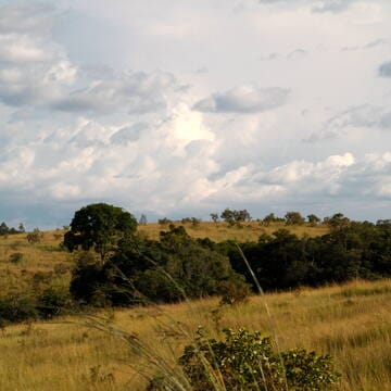 Ecosystem and Relict Cultural Landscape of Lopé-Okanda image 5