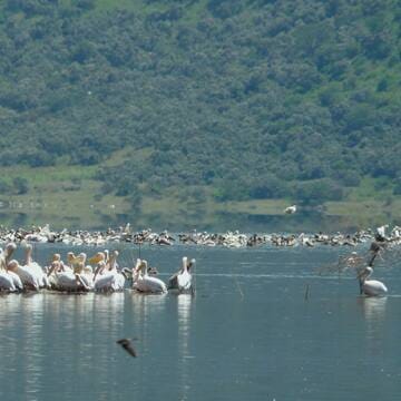 Kenya Lake System in the Great Rift Valley image 10