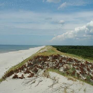 Curonian Spit image 8
