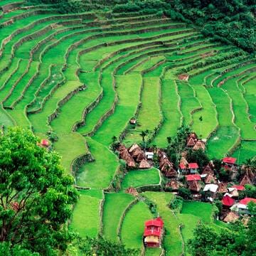 Rice Terraces of the Philippine Cordilleras image 6