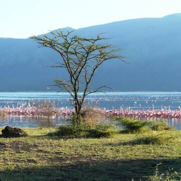 Kenya Lake System in the Great Rift Valley image 5