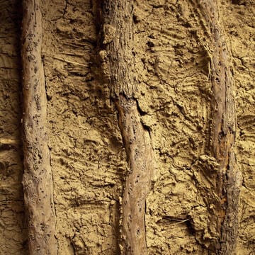 Tomb of Askia image 10