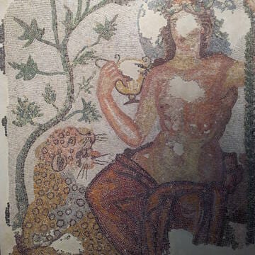 Gamzigrad-Romuliana, Palace of Galerius image 17