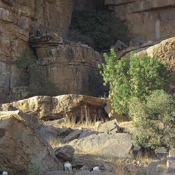 Cliff of Bandiagara (Land of the Dogons) image 8
