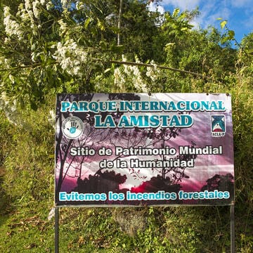 Talamanca Range-La Amistad Reserves / La Amistad National Park image 13