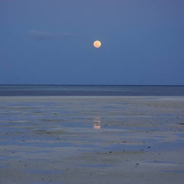 Tubbataha Reefs Natural Park image 11