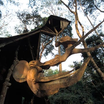 Osun-Osogbo Sacred Grove image 7