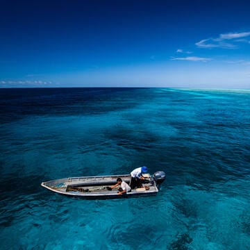 Tubbataha Reefs Natural Park image 19