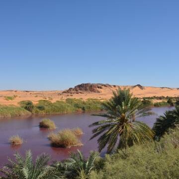 Ennedi Massif: Natural and Cultural Landscape image 35