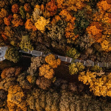 Modernist Kaunas: Architecture of Optimism, 1919-1939 image 5