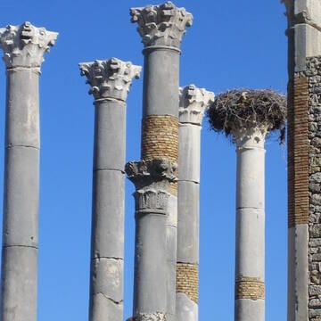 Archaeological Site of Volubilis image 11