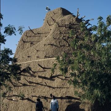 Tomb of Askia image 15